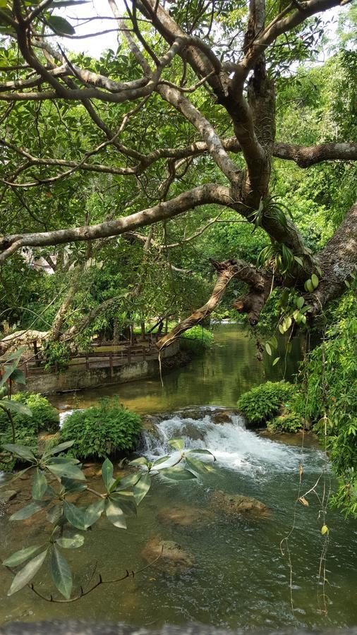 Khao Nam Fah Resort Pak Chong Buitenkant foto